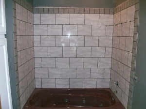 Ann Arbor Michigan bathroom wall tiles