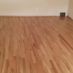 Ann Arbor, hardwood floors, Michigan, light living room floor