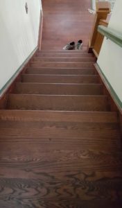 Ann Arbor Hardwood Floors Michigan Stairs