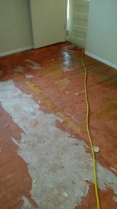 Ann Arbor Hardwood Floors MI Carpet Padding Stuck to Floor - Before