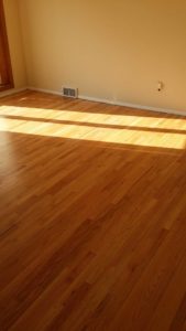 Ann Arbor Hardwood Floors MI Pet Stain Total Fix
